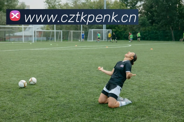 星空体育官网登录平台APP 封面图